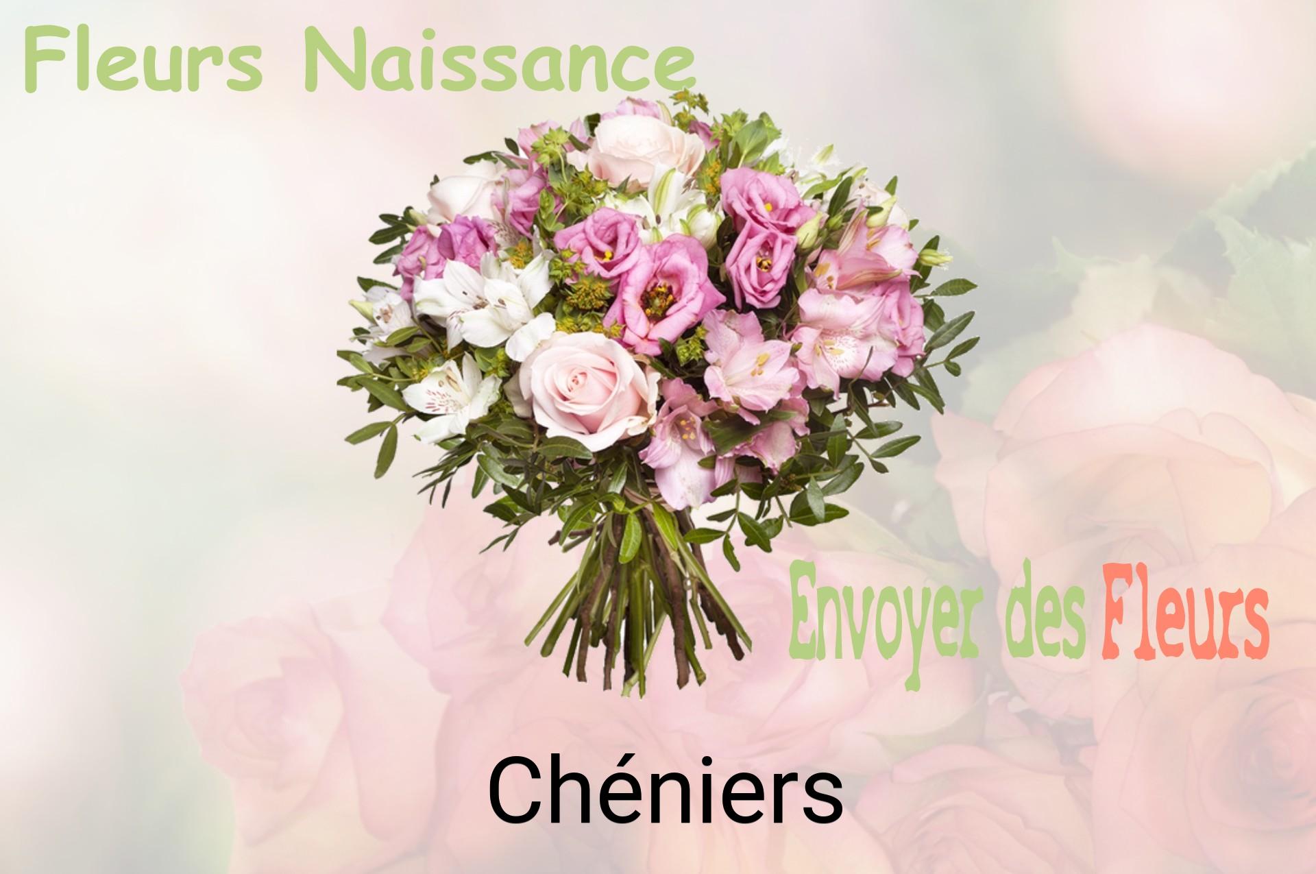 Bouquet de fleurs de naissance livré à Chéniers