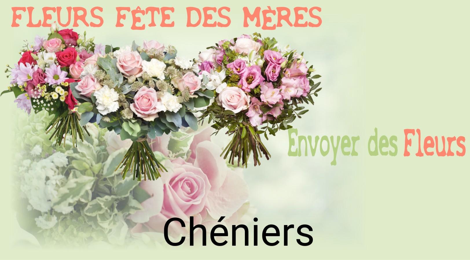 Bouquet de Fête des Mères livré à Chéniers